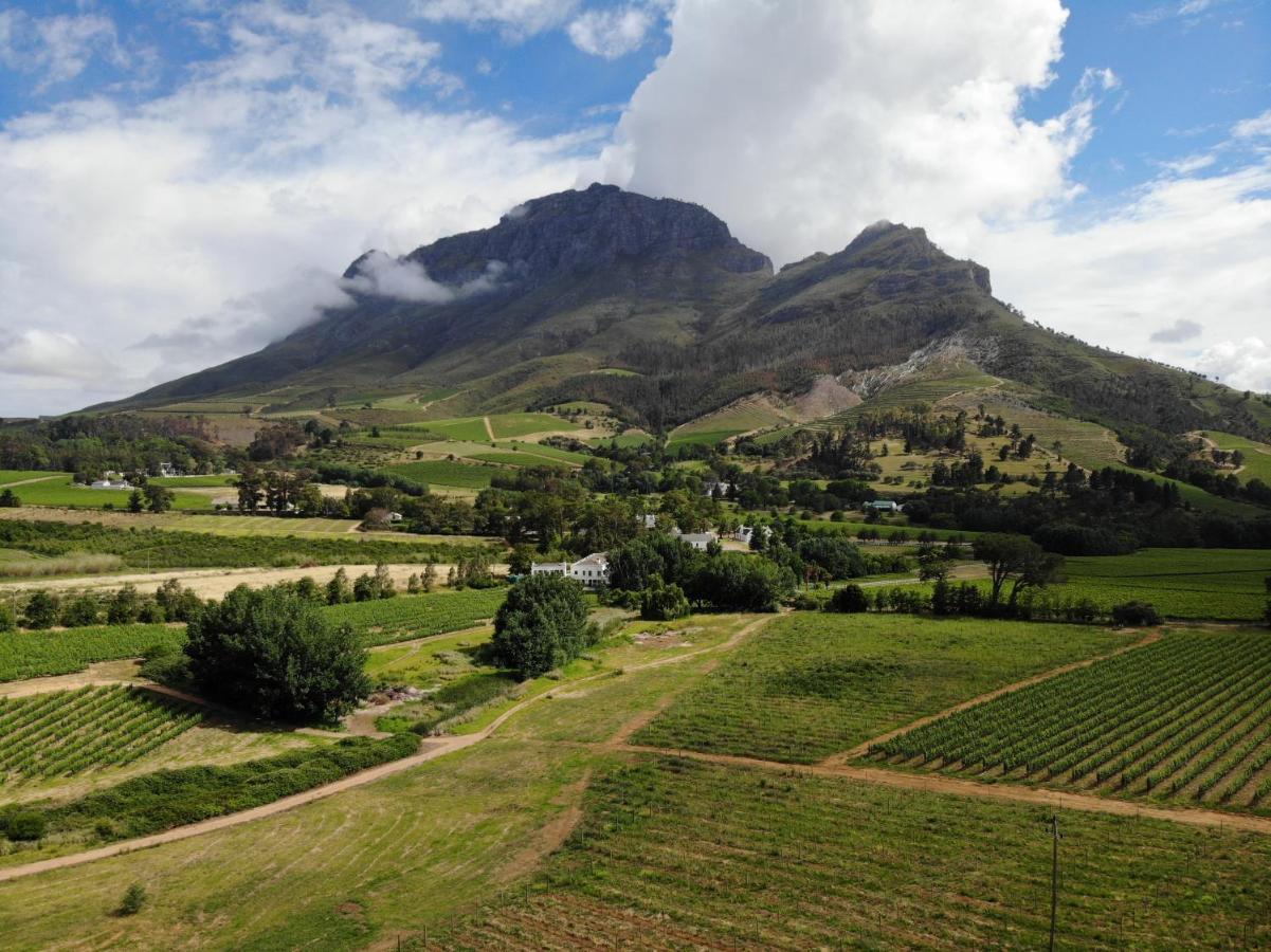 Le Pommier Wine Estate Villa Stellenbosch Kültér fotó