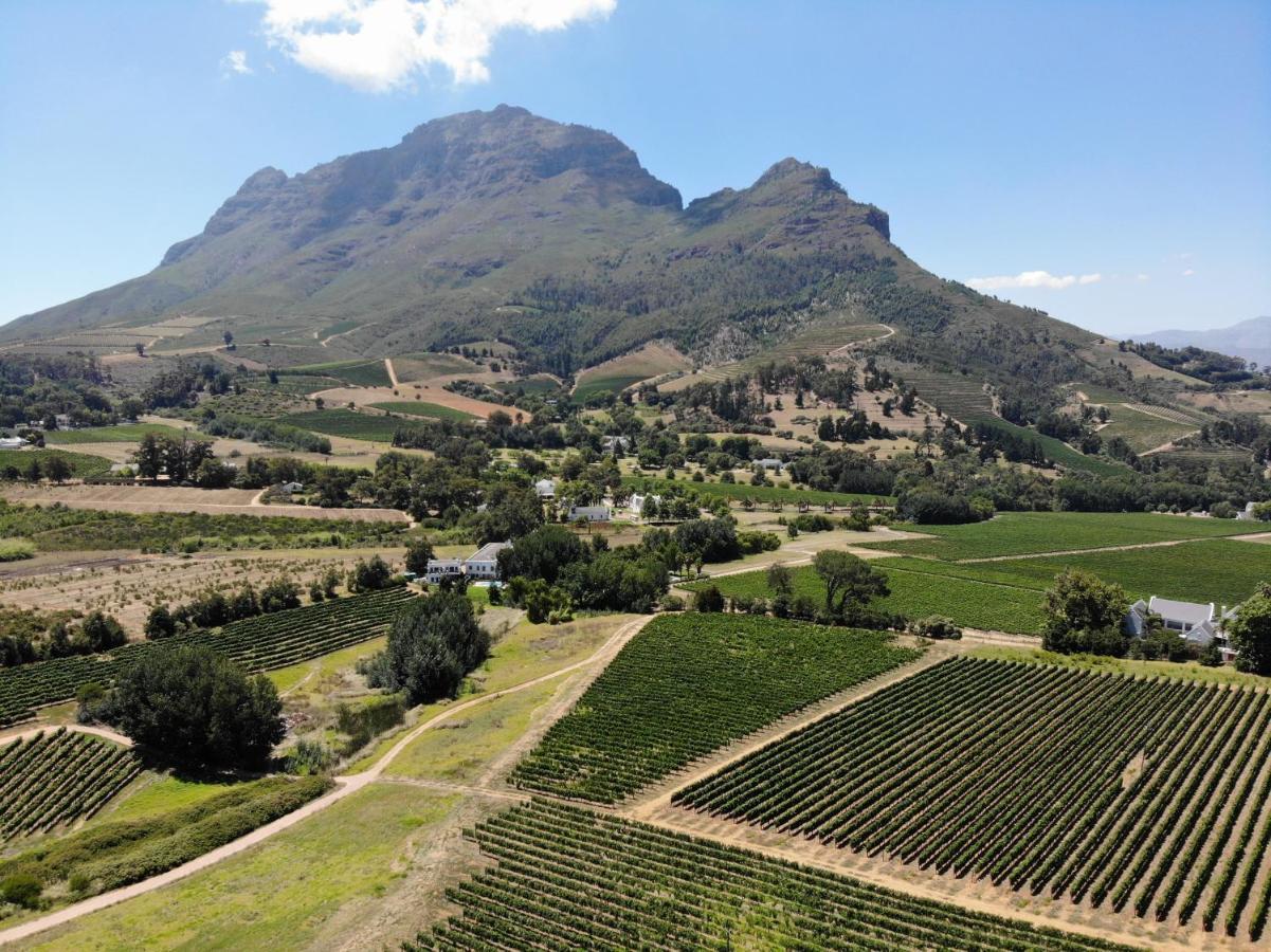 Le Pommier Wine Estate Villa Stellenbosch Kültér fotó