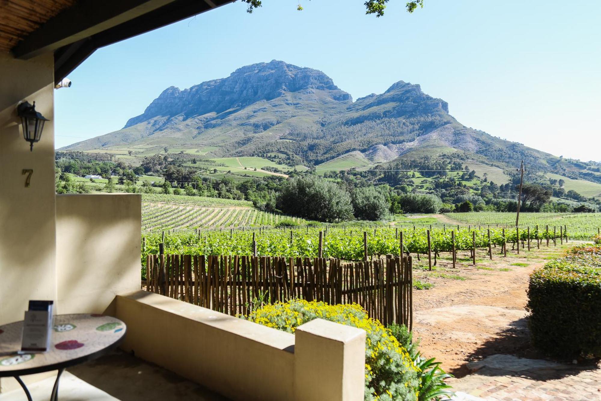 Le Pommier Wine Estate Villa Stellenbosch Kültér fotó