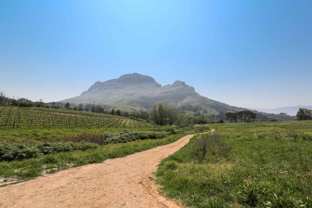 Le Pommier Wine Estate Villa Stellenbosch Kültér fotó